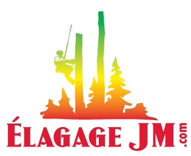 logo-color-ejm
