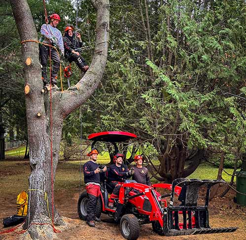 Élagage J.M. Laurentides